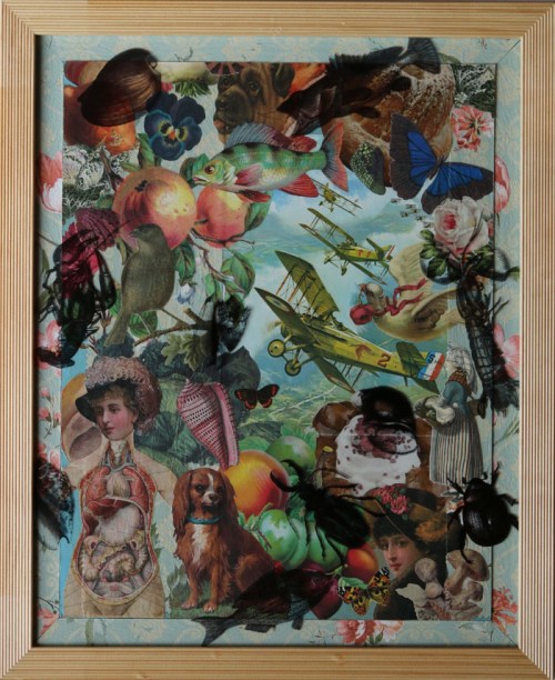 Cabinet de Curiosités 1 (p)